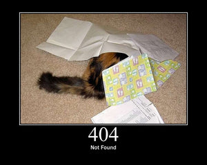 404 Not Found