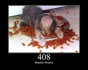 408 Request Timeout